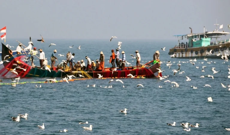 श्रीलंका में 12 भारतीय मछुआरे गिरफ्तार Breaking News Update